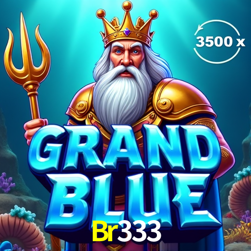 Br333